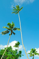 Similar image 479169