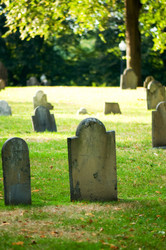 Similar image 479294