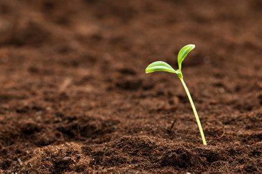 Similar image 479315