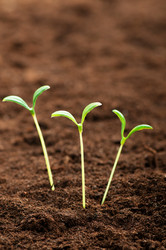 Similar image 479316