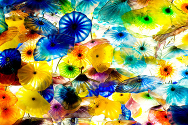 Similar image 479328