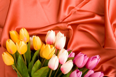 Similar image 479343