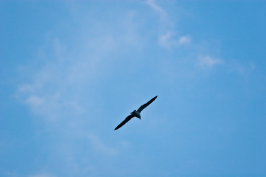 Similar image 479353