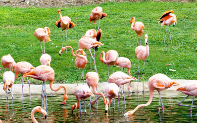 Similar image 479402