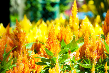 Similar image 479410