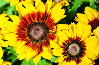 Similar image 479453