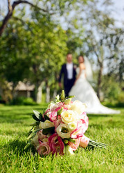 Similar image 479454