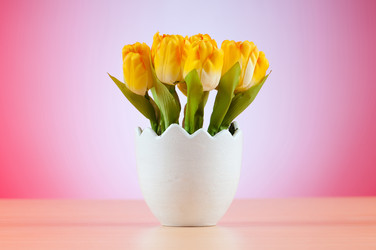 Similar image 479504