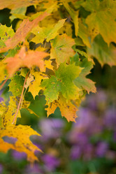 Similar image 479503