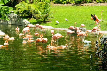 Similar image 479507