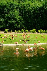 Similar image 479511