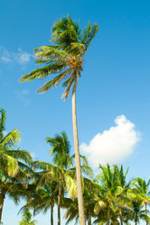 Similar image 479515