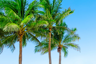 Similar image 479516