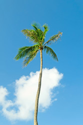 Similar image 479517