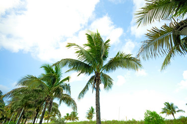 Similar image 479518