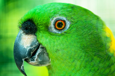 Similar image 479530