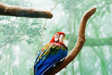 Similar image 479532