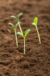 Similar image 479546