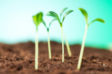 Similar image 479549