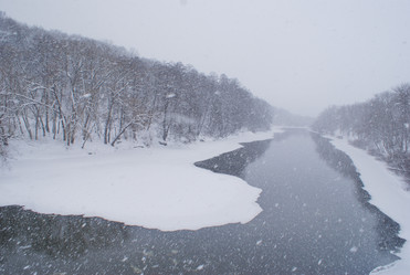 Similar image 479550