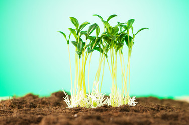 Similar image 479553