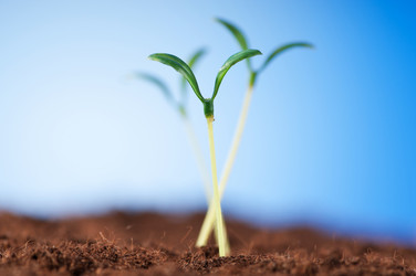 Similar image 479555