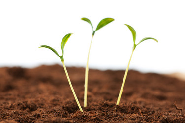 Similar image 479557