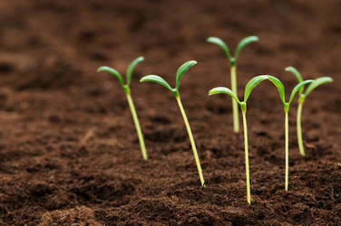 Similar image 479609