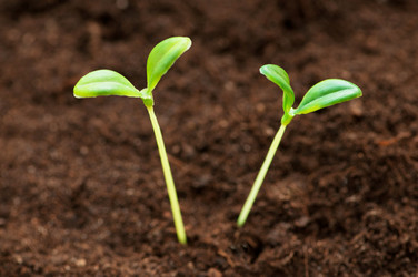 Similar image 479612