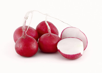 Similar image 479686