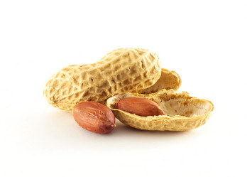 Similar image 479698