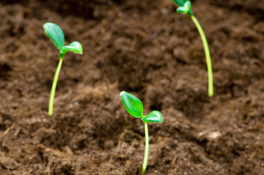 Similar image 479721