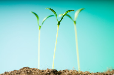 Similar image 479722