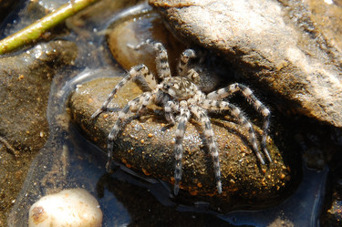 Similar image 479738