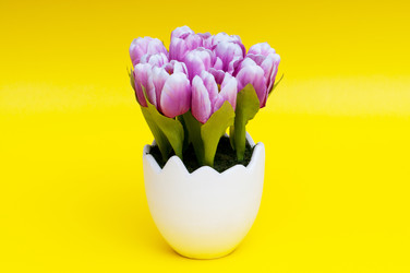 Similar image 479750