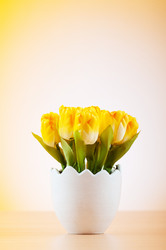 Similar image 479777