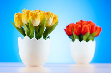 Similar image 479810