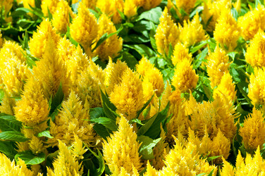 Similar image 479886