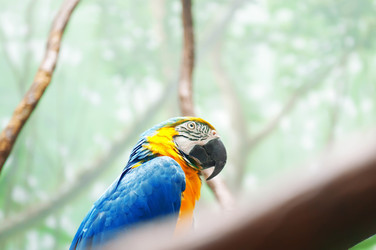 Similar image 479925