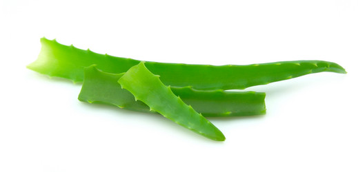 Similar image 479950