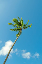 Similar image 479976