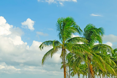 Similar image 479979