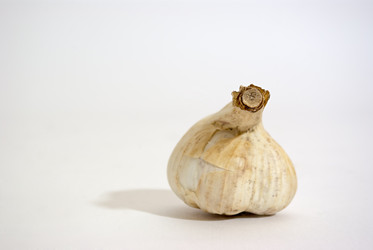 Similar image 479981