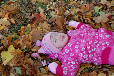 Similar image 479989