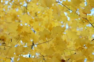 Similar image 480002