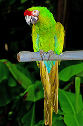 Similar image 480019