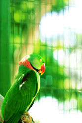 Similar image 480020