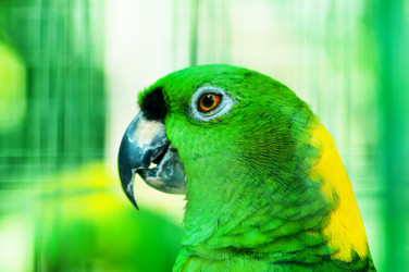 Similar image 480024