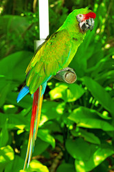 Similar image 480026