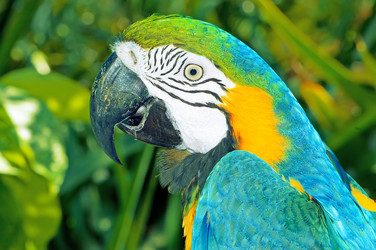 Similar image 480033